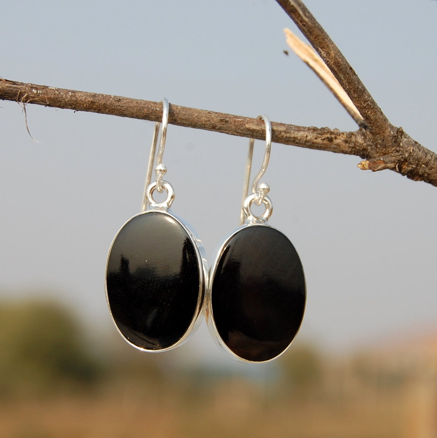 Black Onyx Oval Flat Earrings