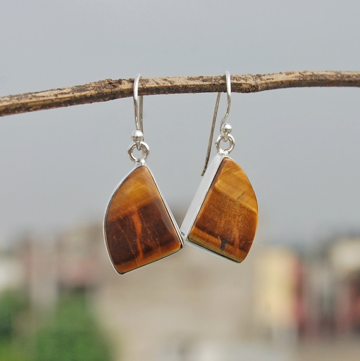 Tiger Eye Quarter Round Drop Earrings