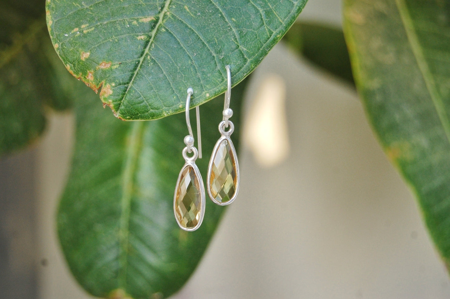 Rainbow Moonstone Drop Earrings