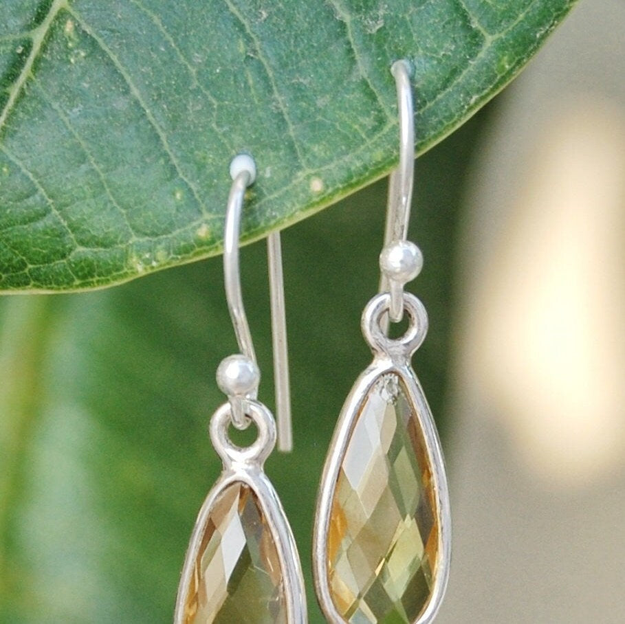 Rainbow Moonstone Drop Earrings