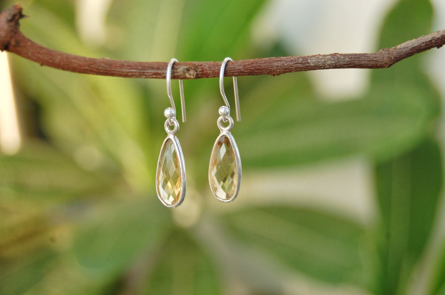 Rainbow Moonstone Drop Earrings