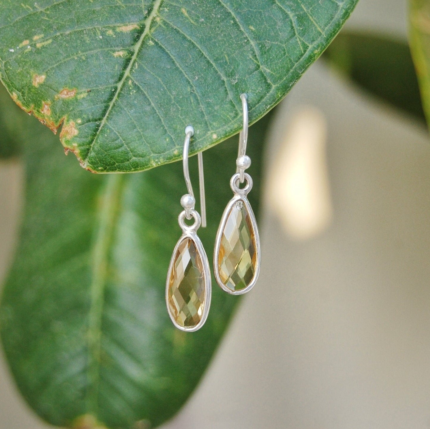 Rainbow Moonstone Drop Earrings