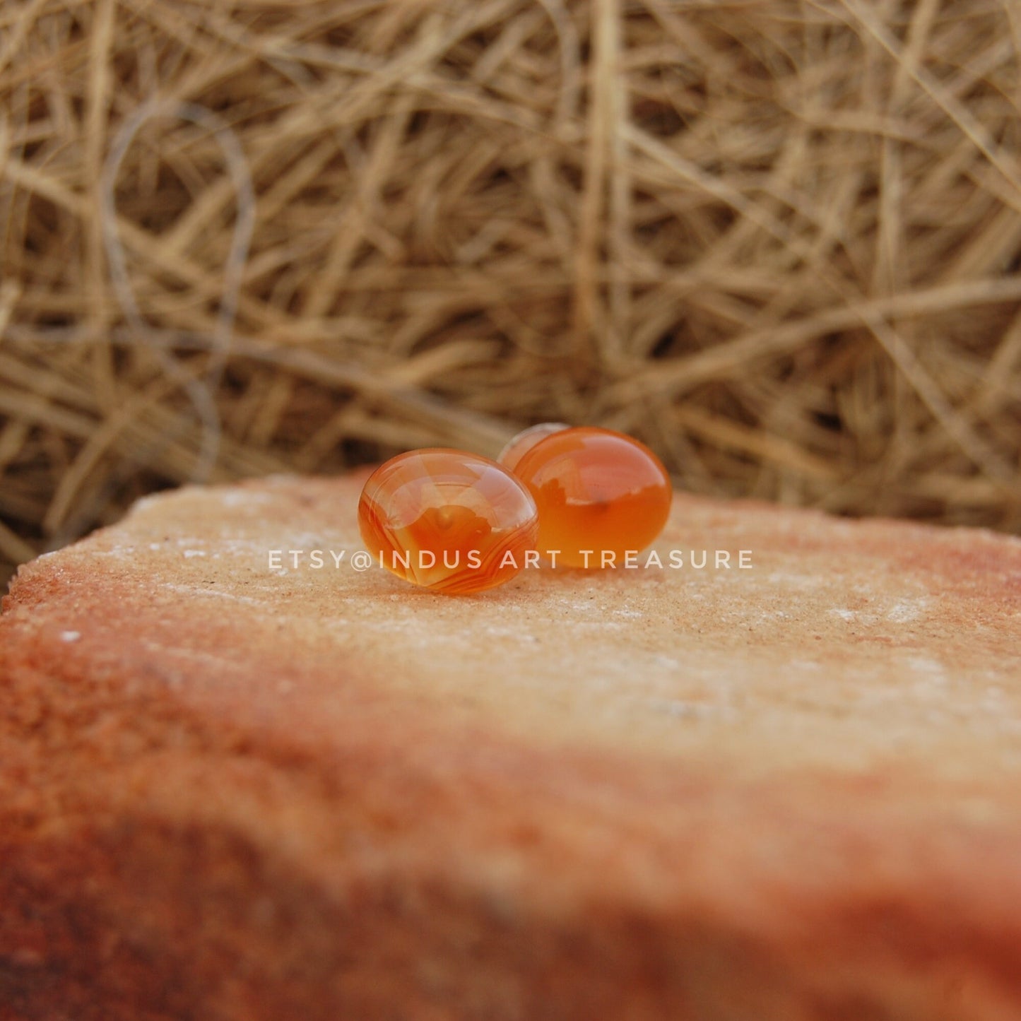 Orange Carnelian Stud Earrings