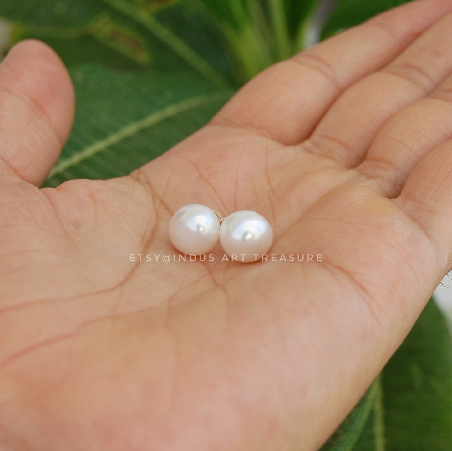 Fresh Water Pearl Stud Earrings