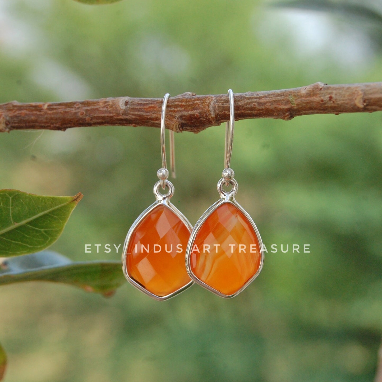 Carnelian Drop Earrings