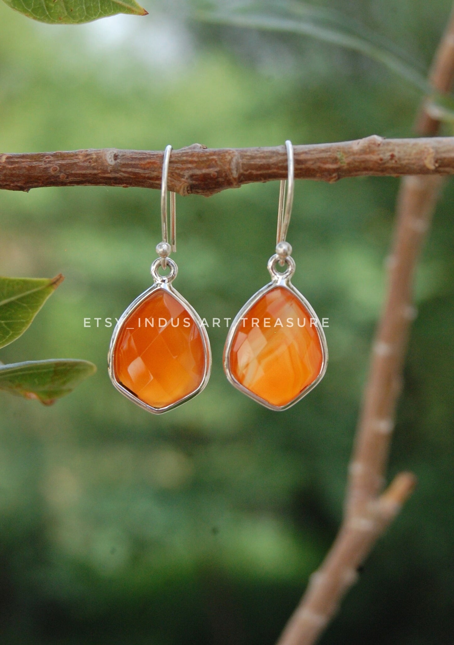 Carnelian Drop Earrings