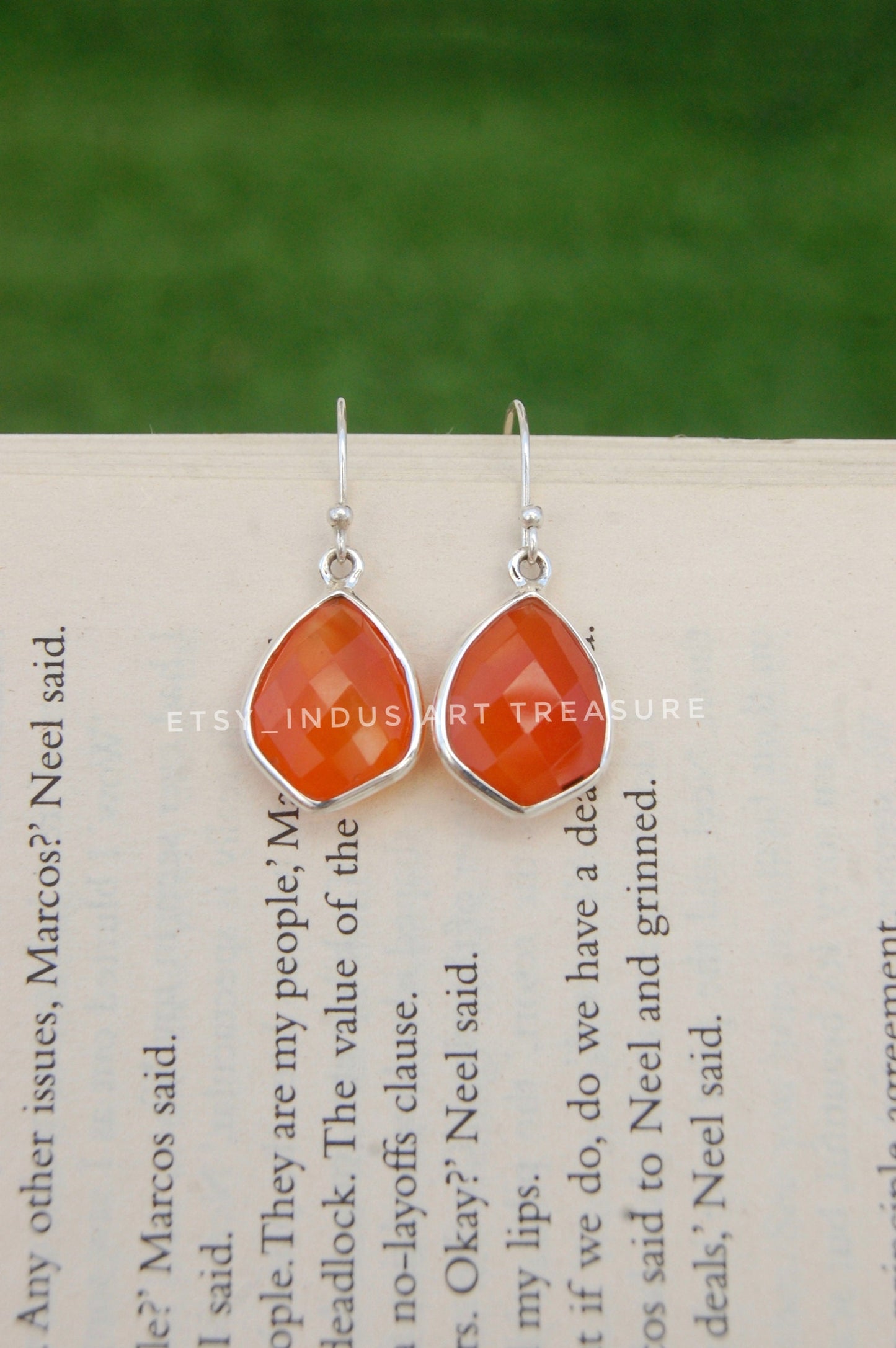 Carnelian Drop Earrings