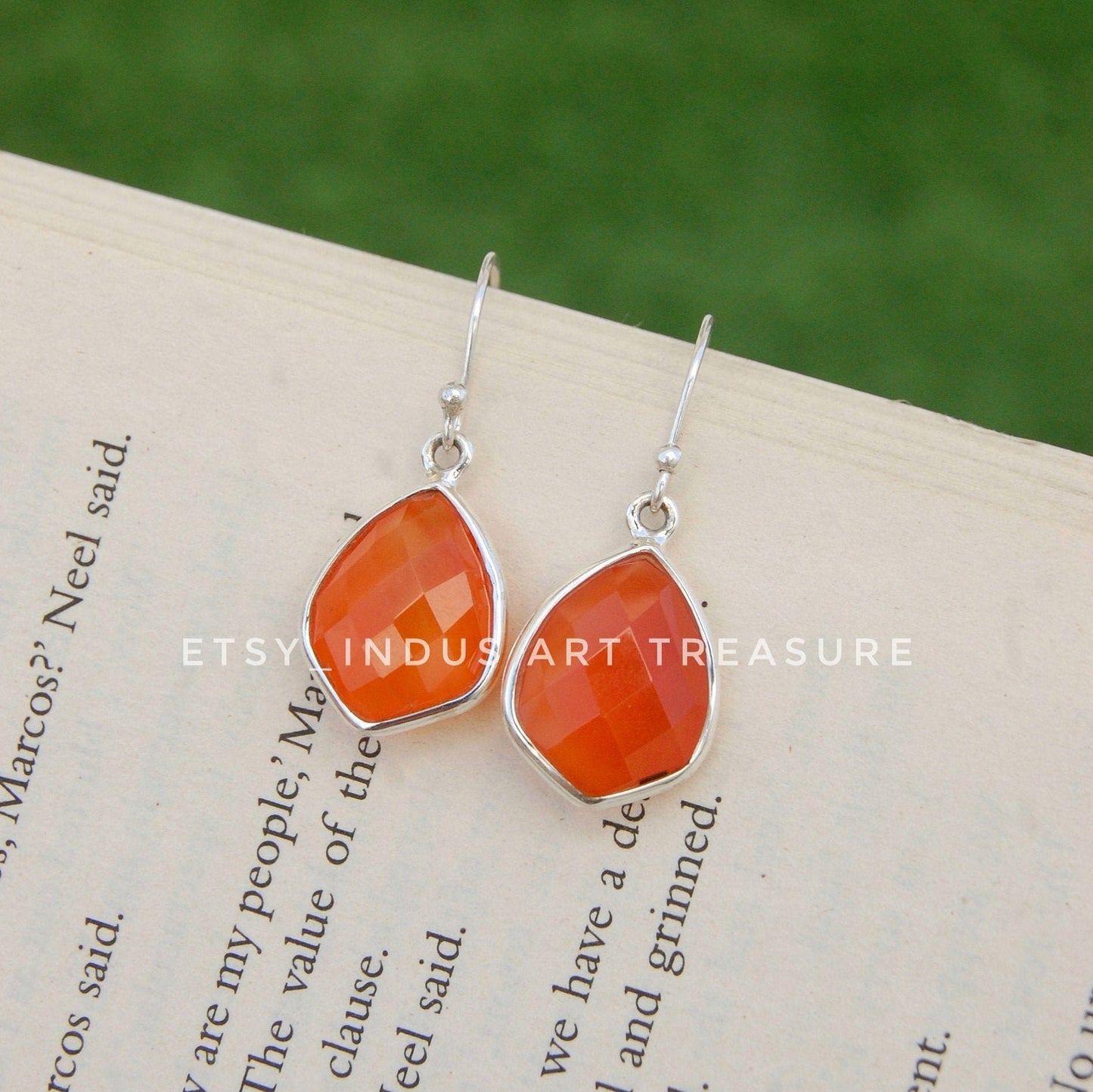 Carnelian Drop Earrings