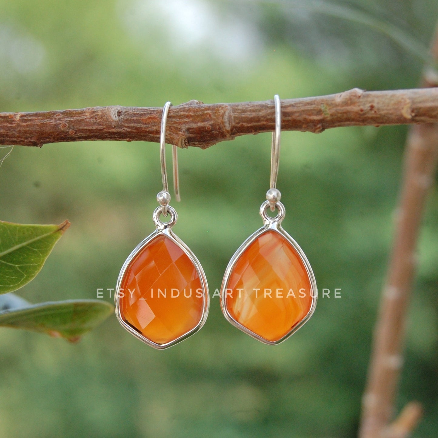Carnelian Drop Earrings