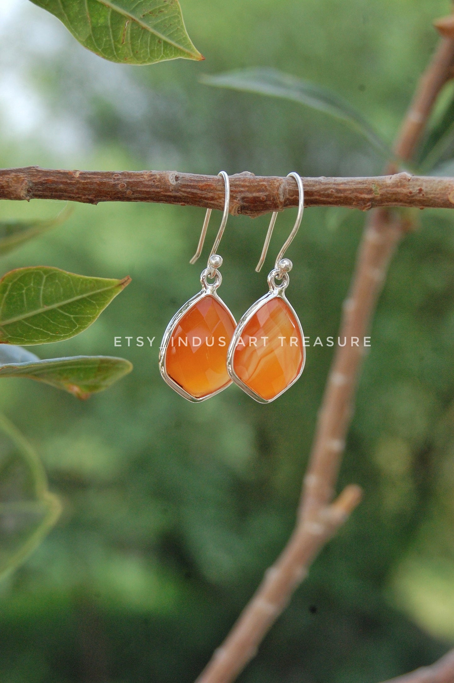 Carnelian Drop Earrings
