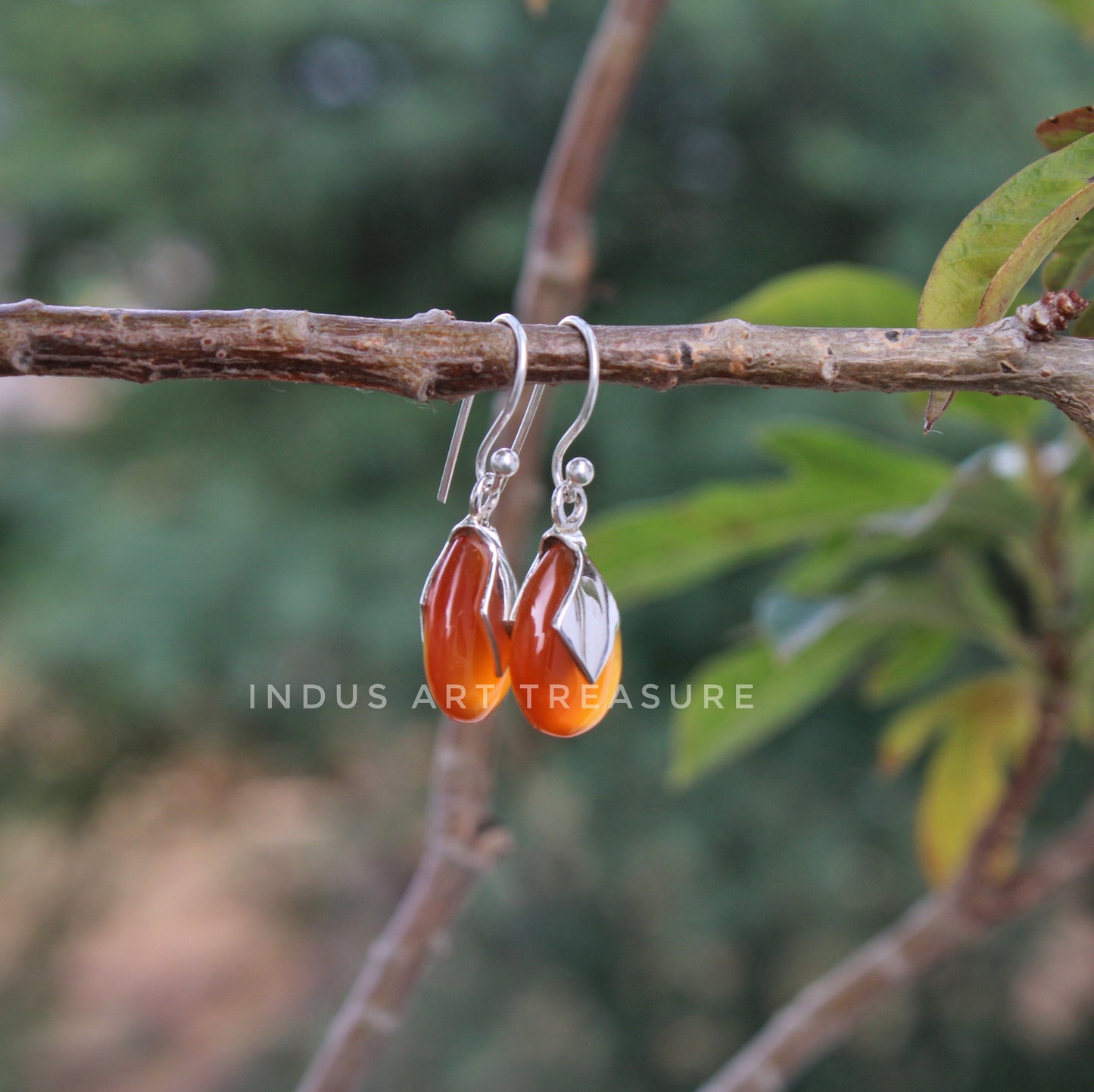 Carnelian Drop Earrings