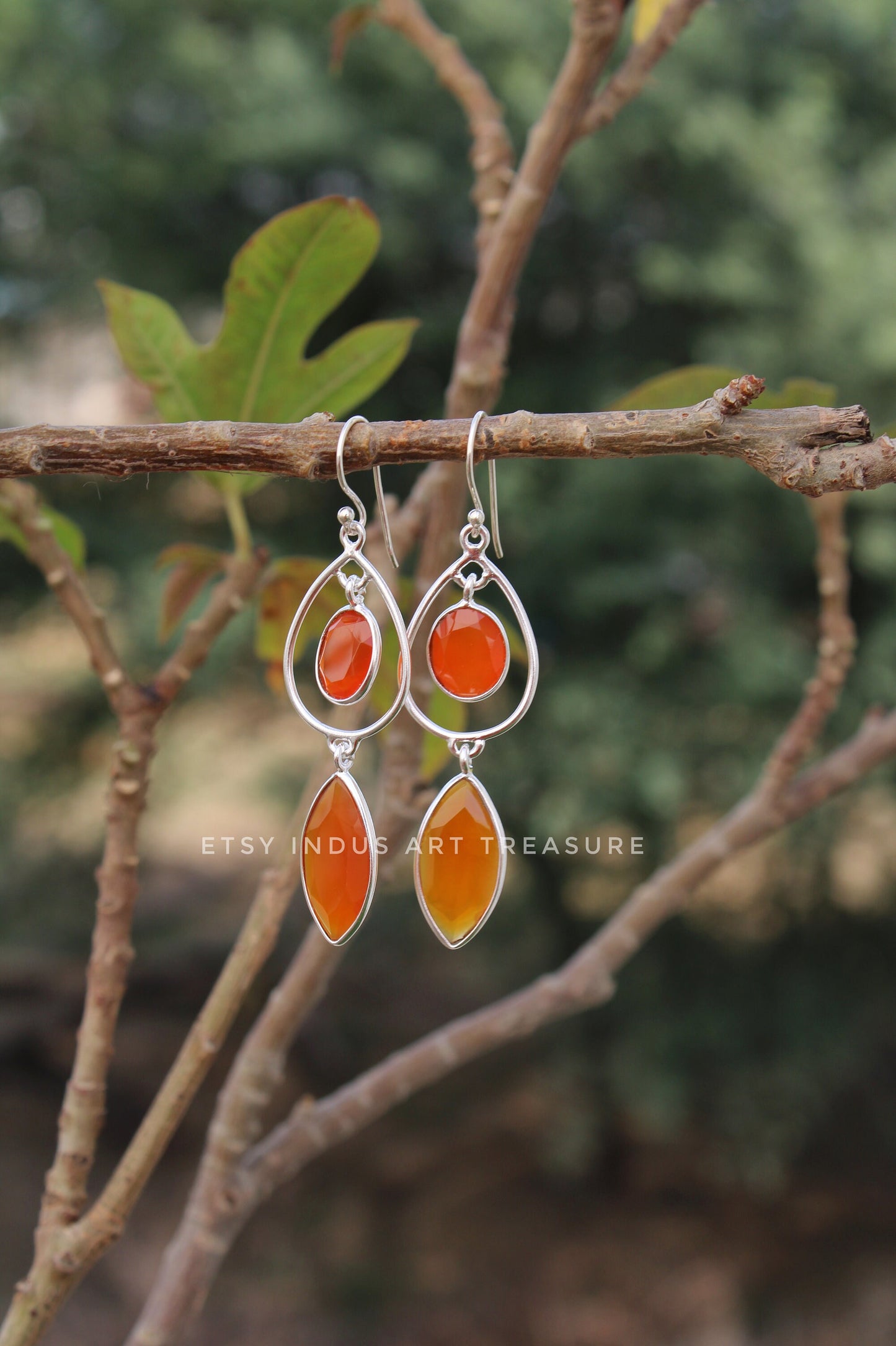Natural Carnelian Long Earrings