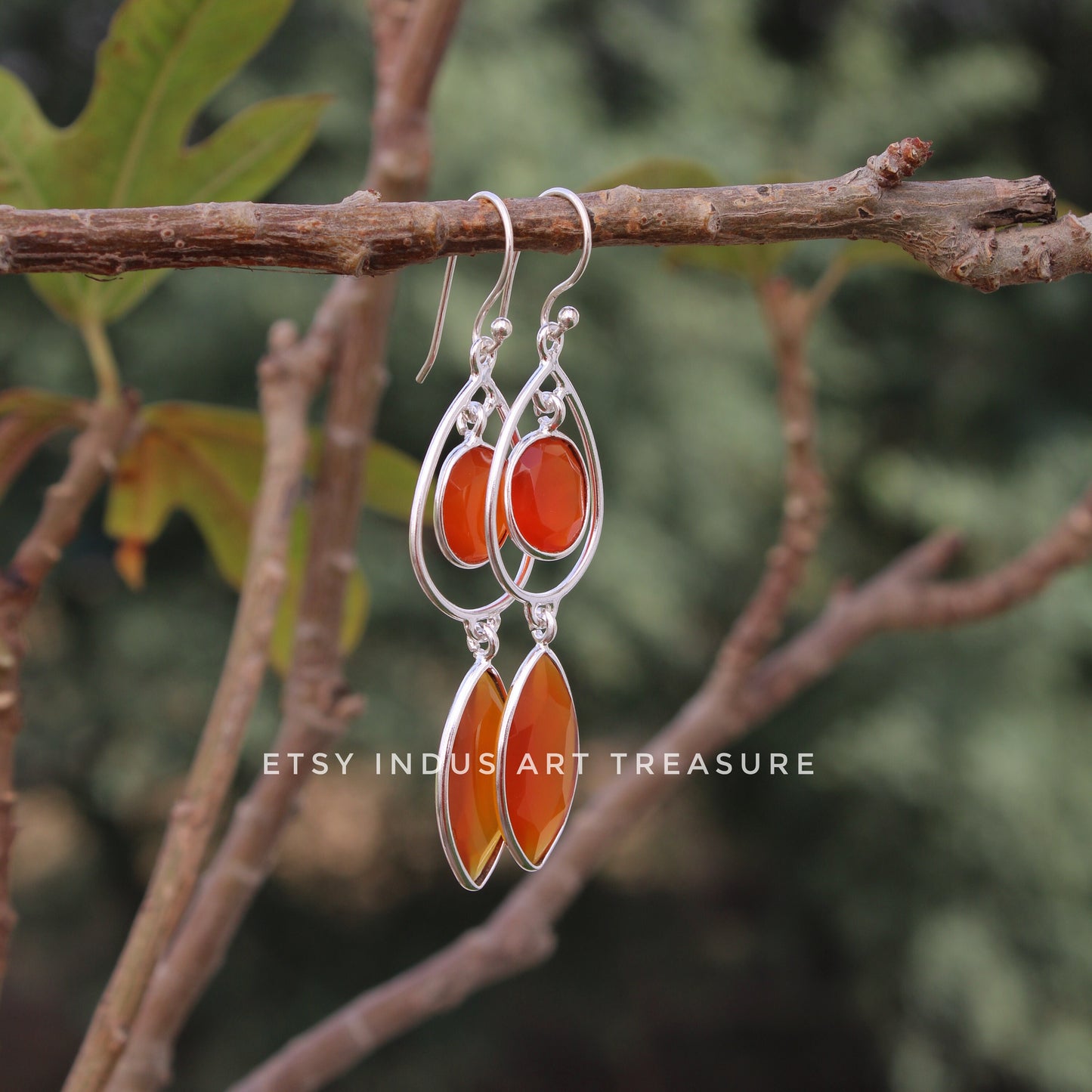 Natural Carnelian Long Earrings