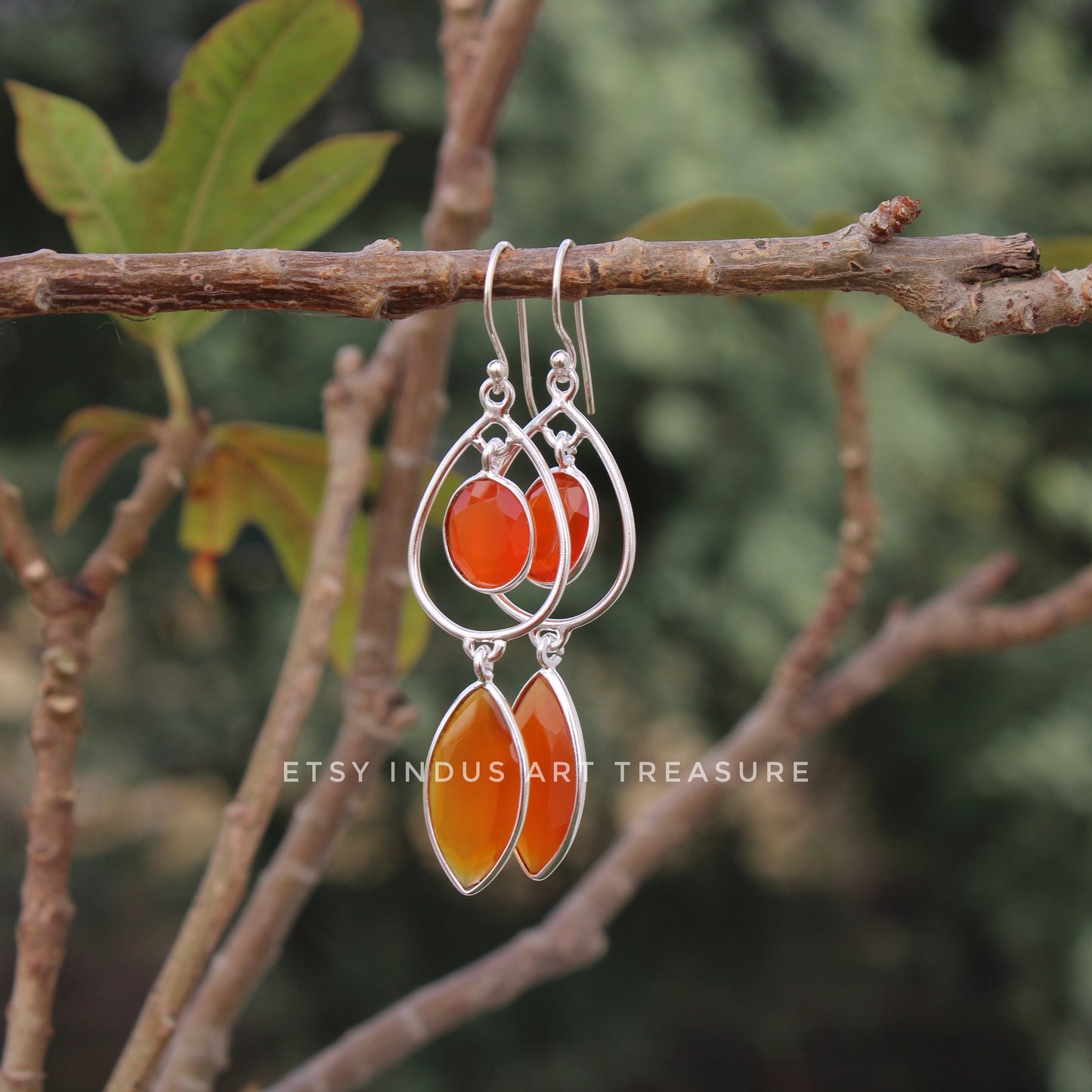 Natural Carnelian Long Earrings