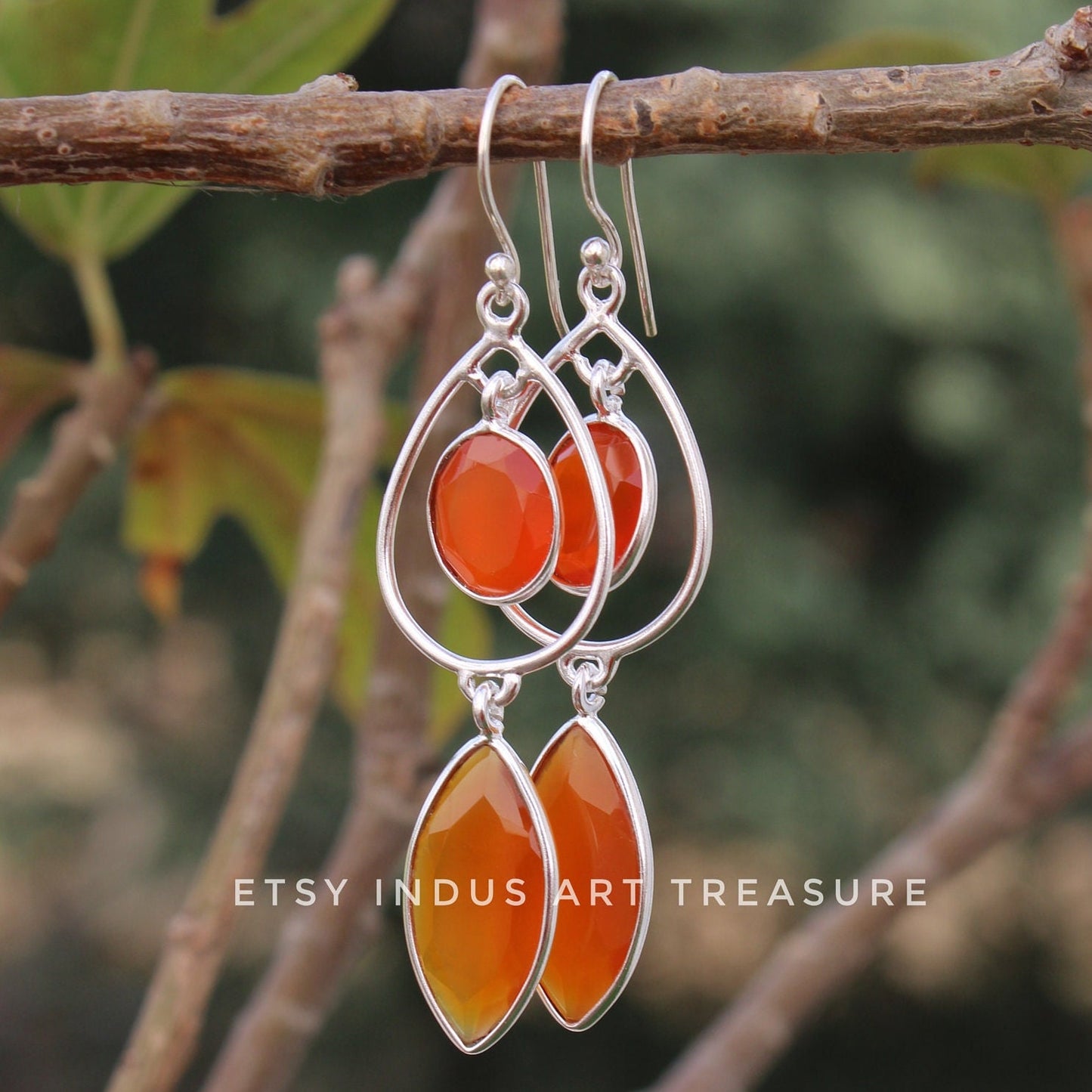 Natural Carnelian Long Earrings