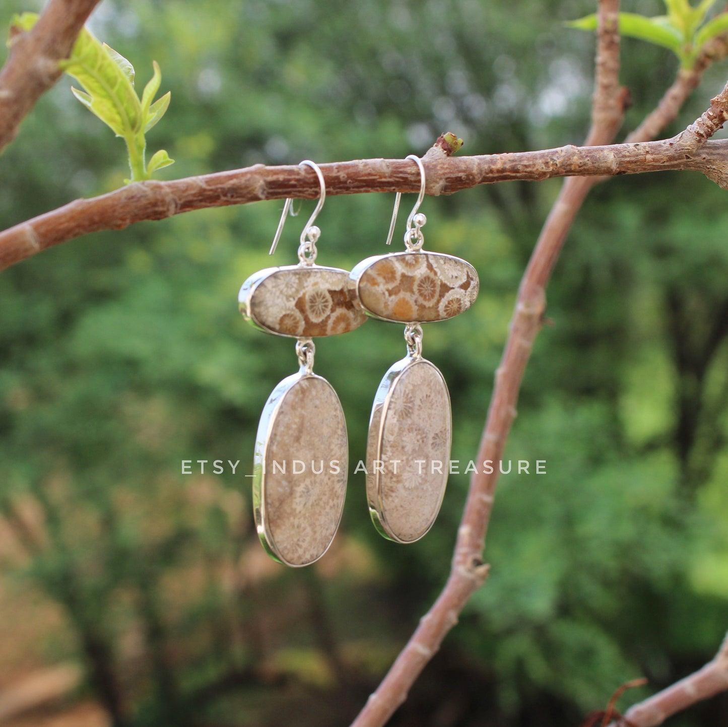 Natural Agatized Coral Fossil Earrings