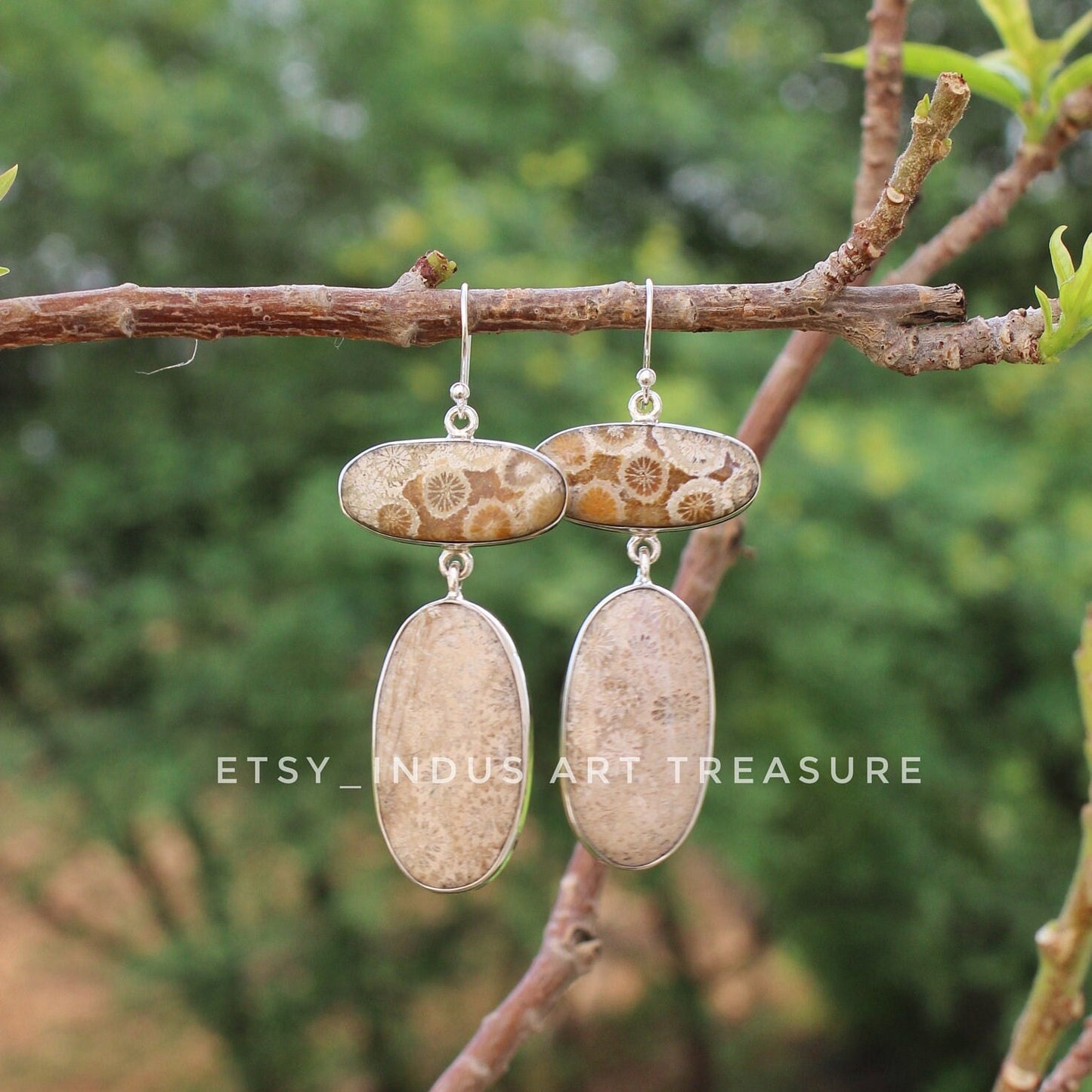 Natural Agatized Coral Fossil Earrings