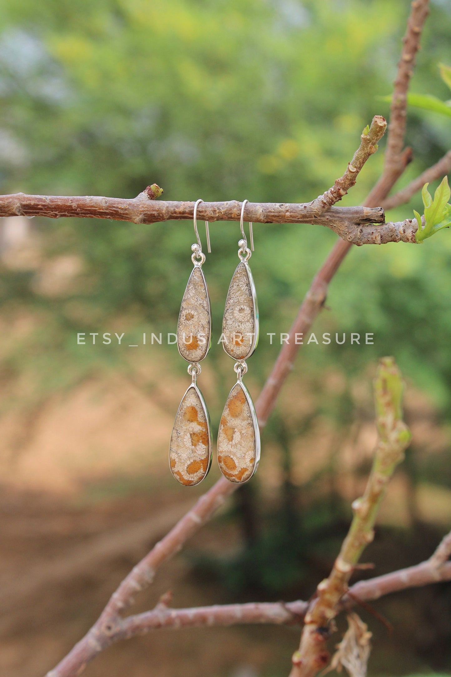 Natural Coral Fossil Agatized Coral Earrings