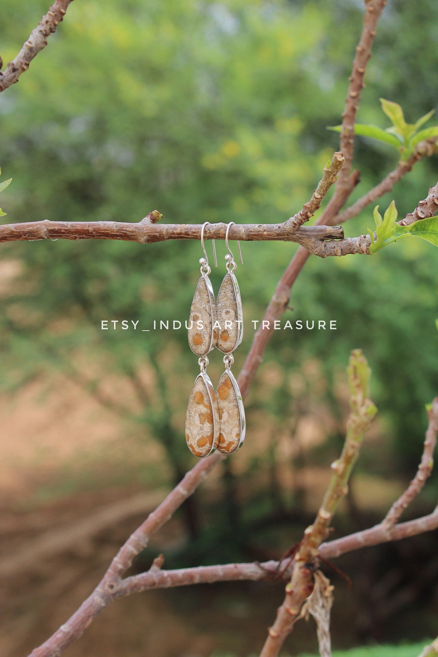 Natural Coral Fossil Agatized Coral Earrings