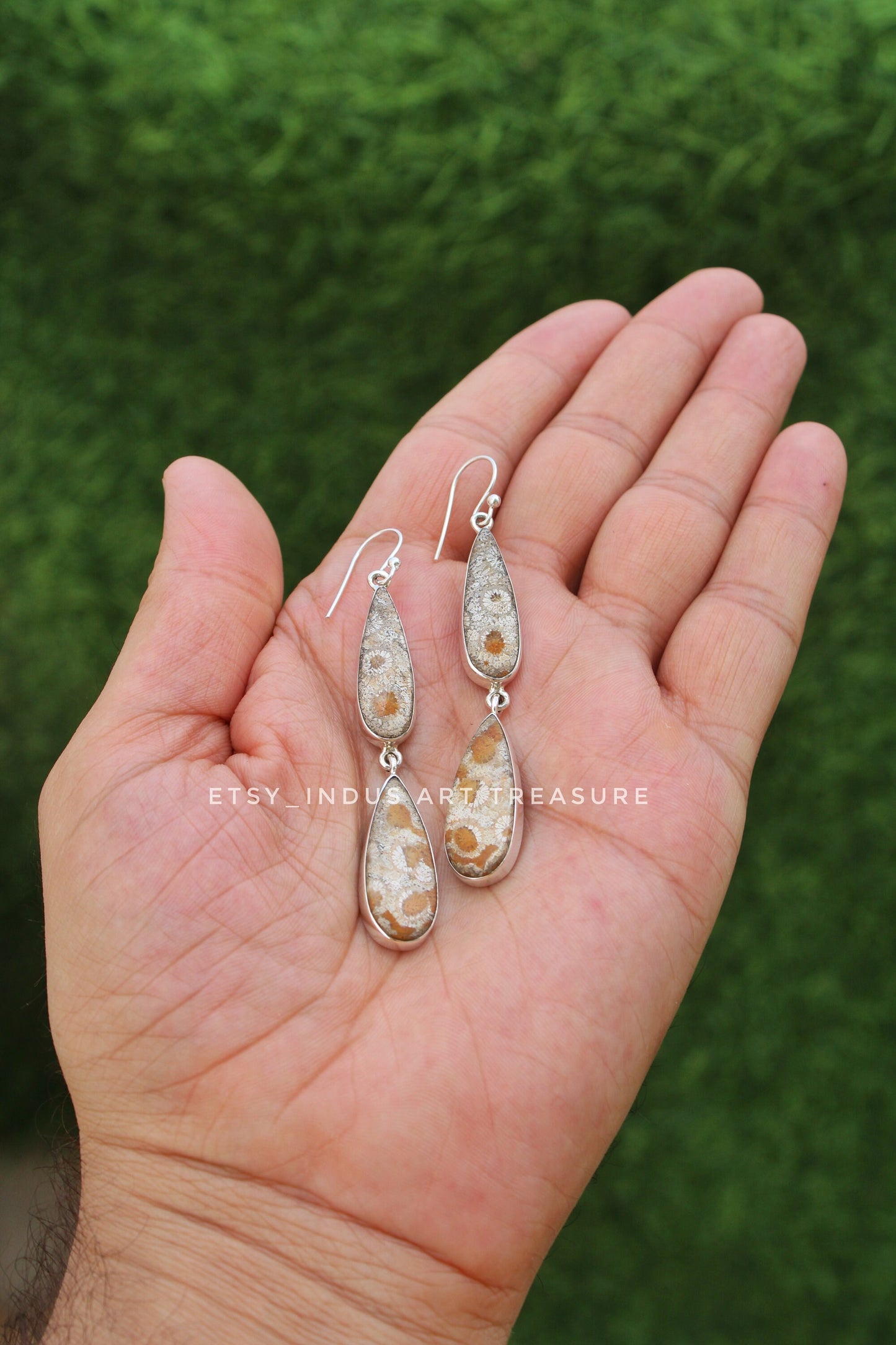Natural Coral Fossil Agatized Coral Earrings