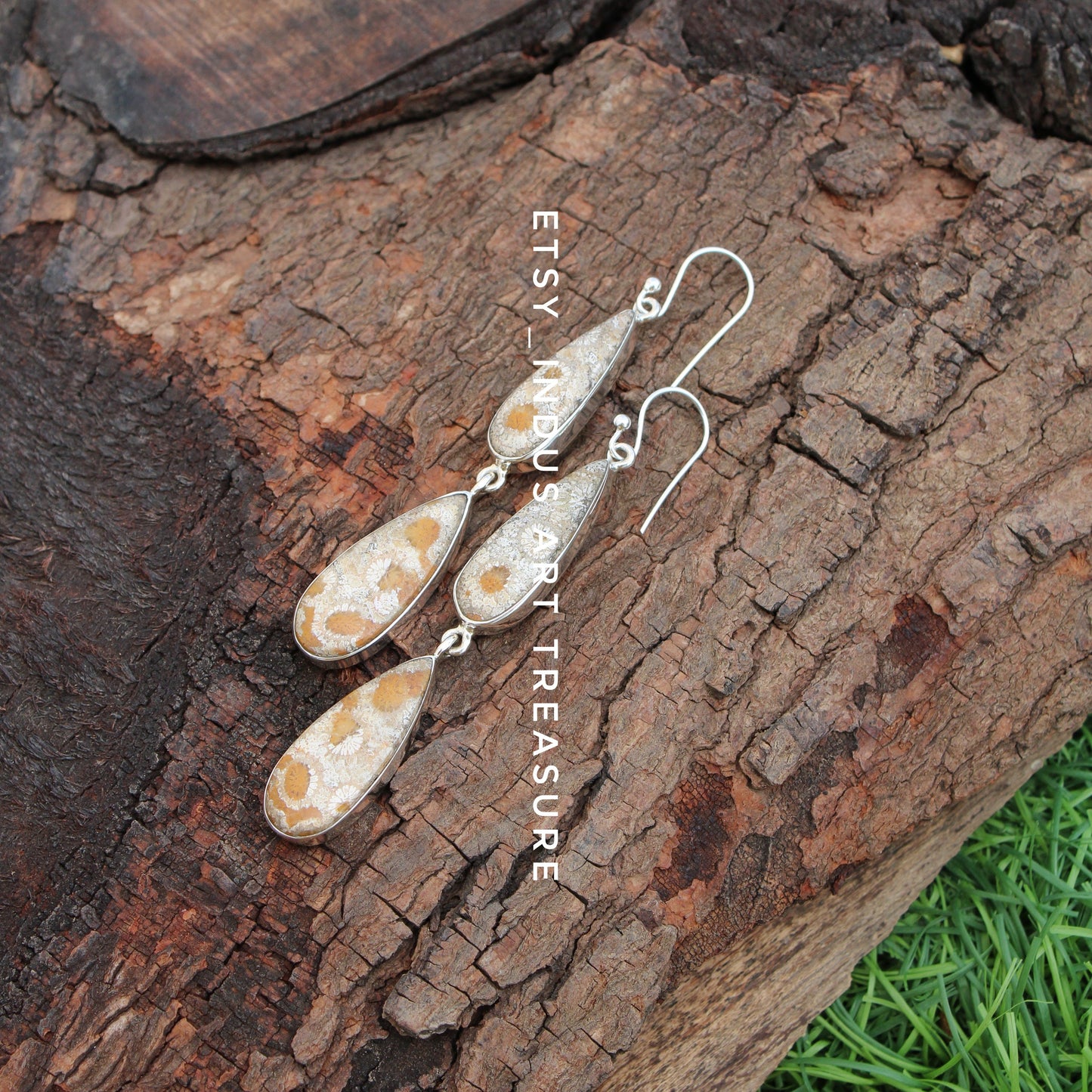 Natural Coral Fossil Agatized Coral Earrings