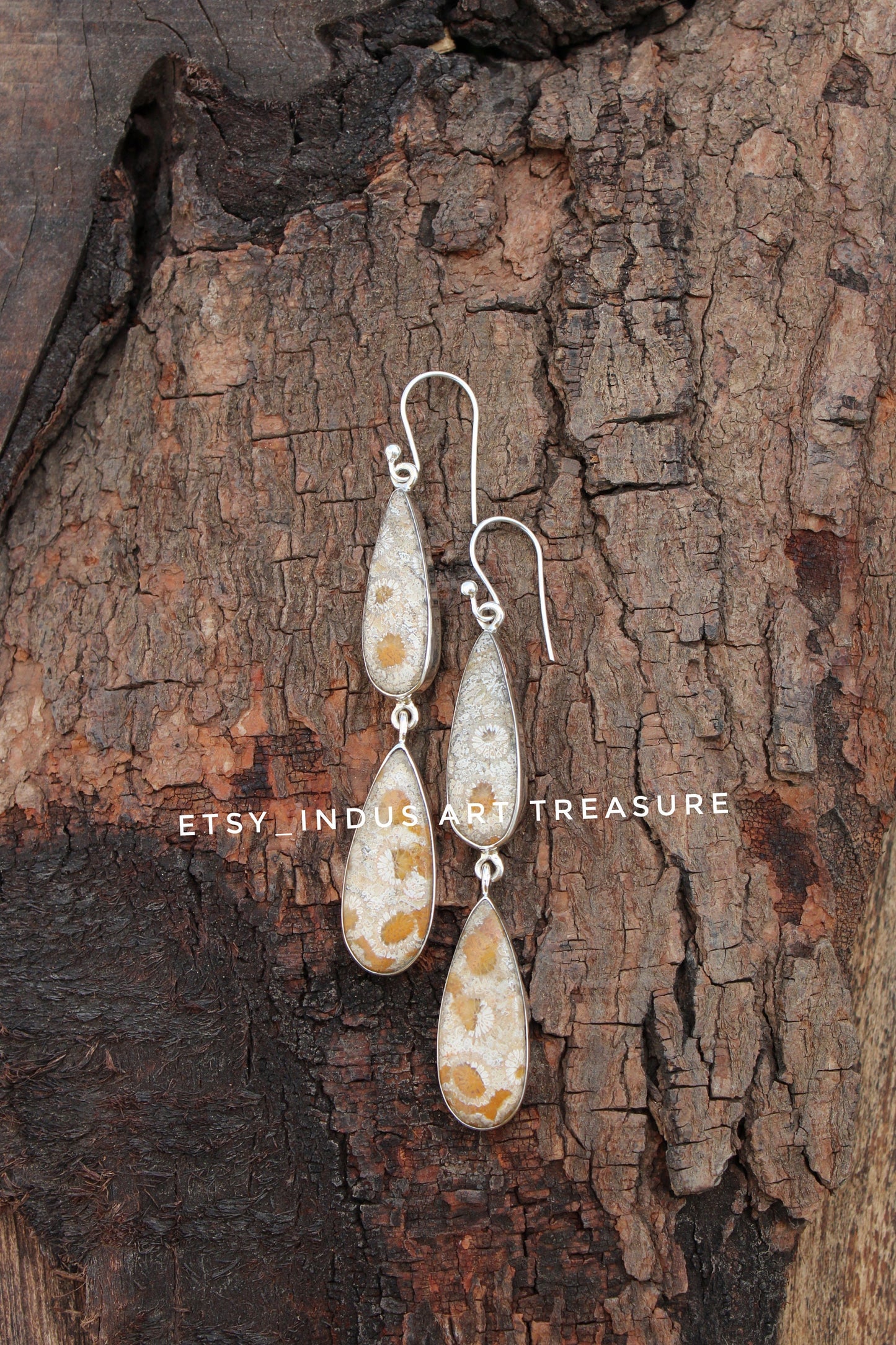 Natural Coral Fossil Agatized Coral Earrings