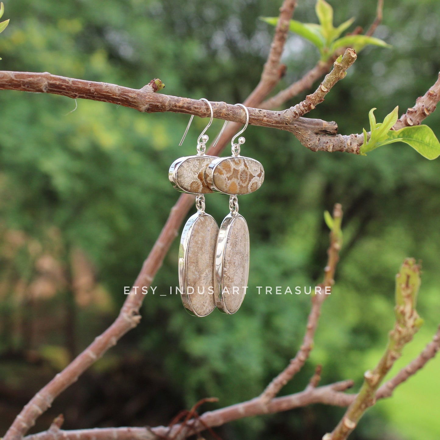 Natural Agatized Coral Fossil Earrings