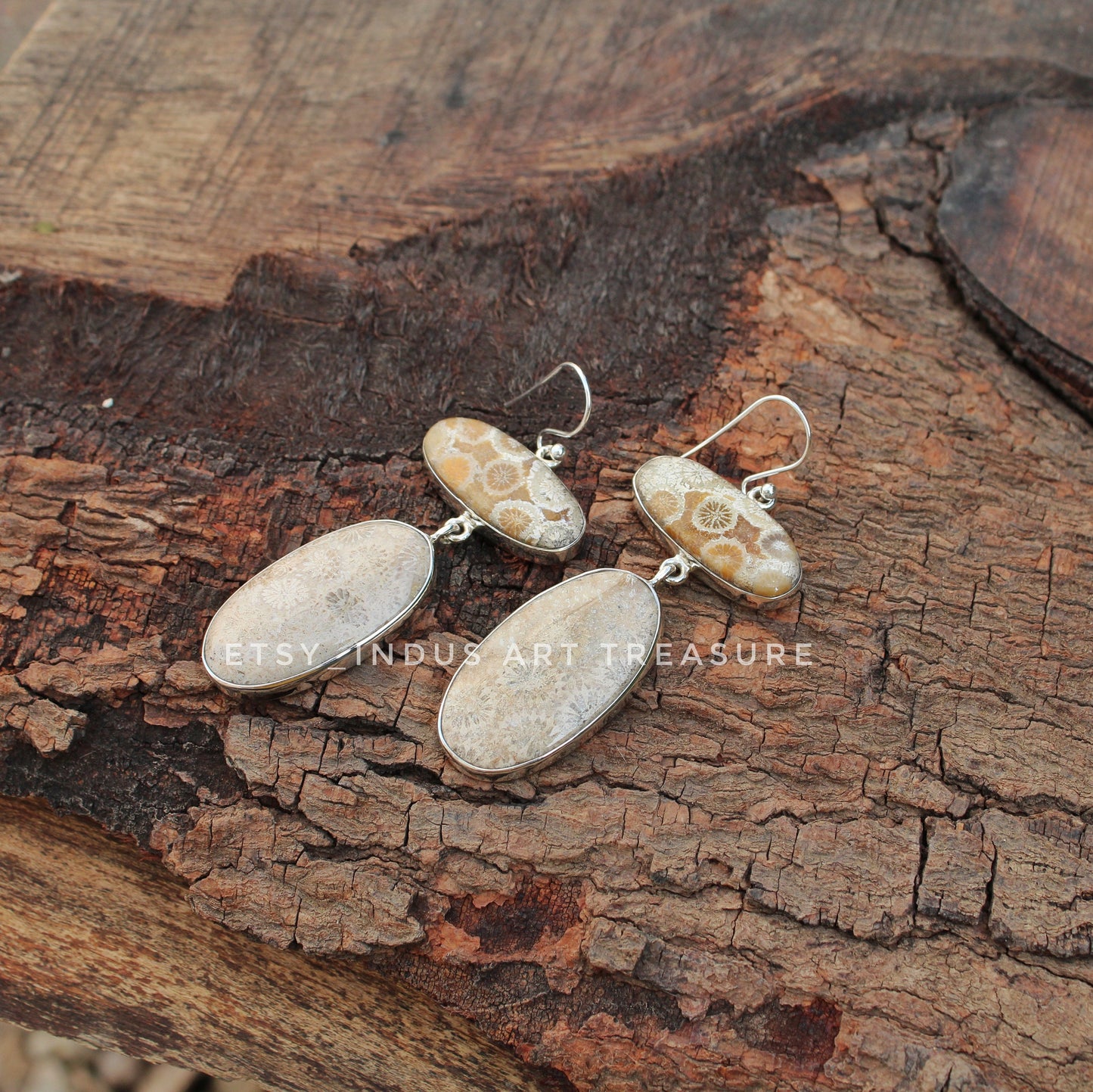 Natural Agatized Coral Fossil Earrings