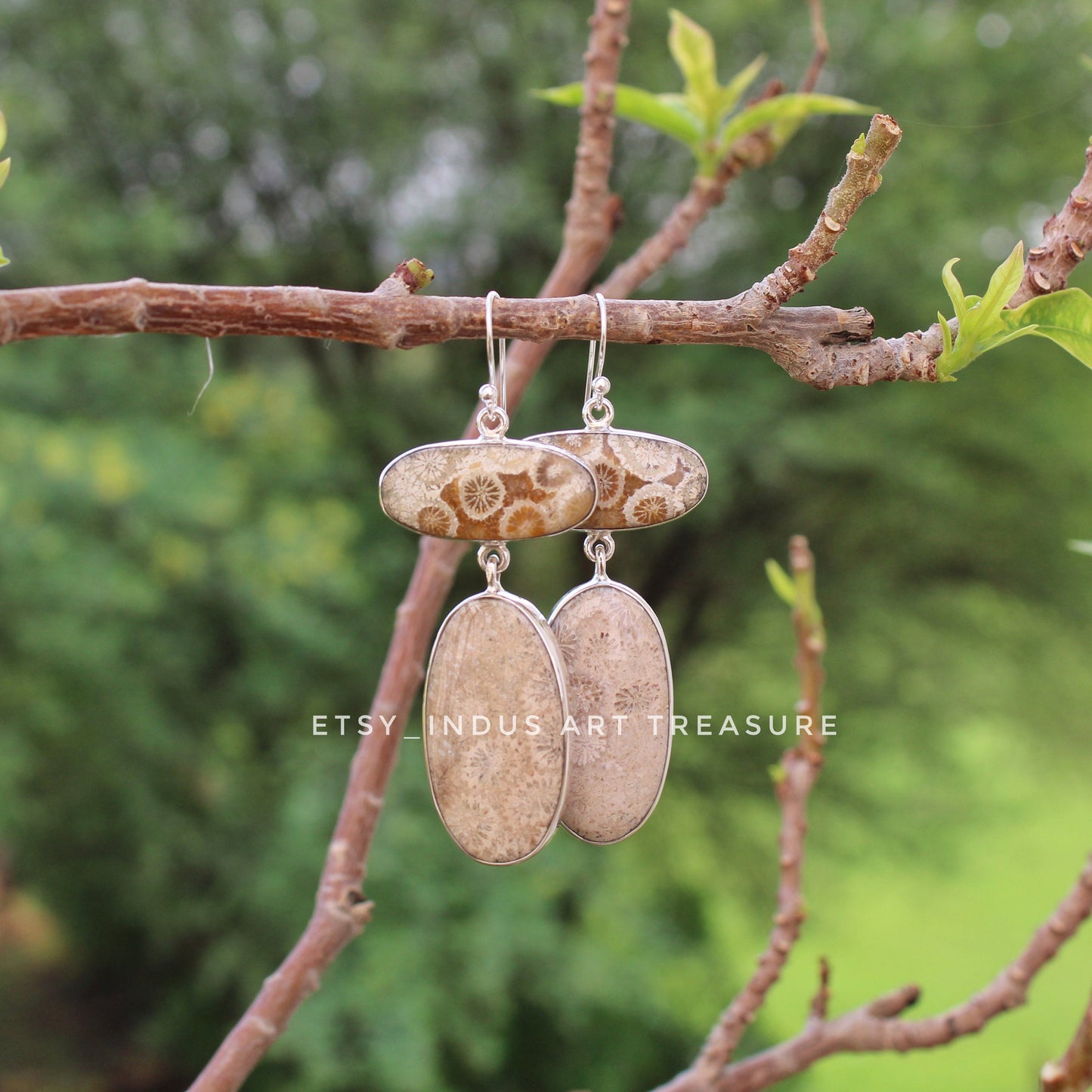 Natural Agatized Coral Fossil Earrings