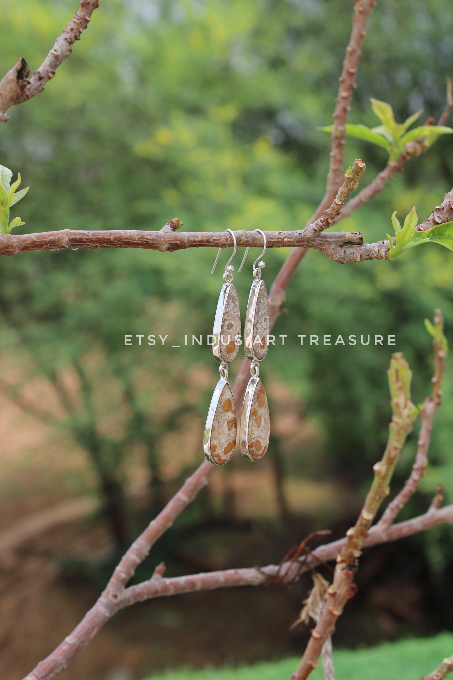 Natural Coral Fossil Agatized Coral Earrings