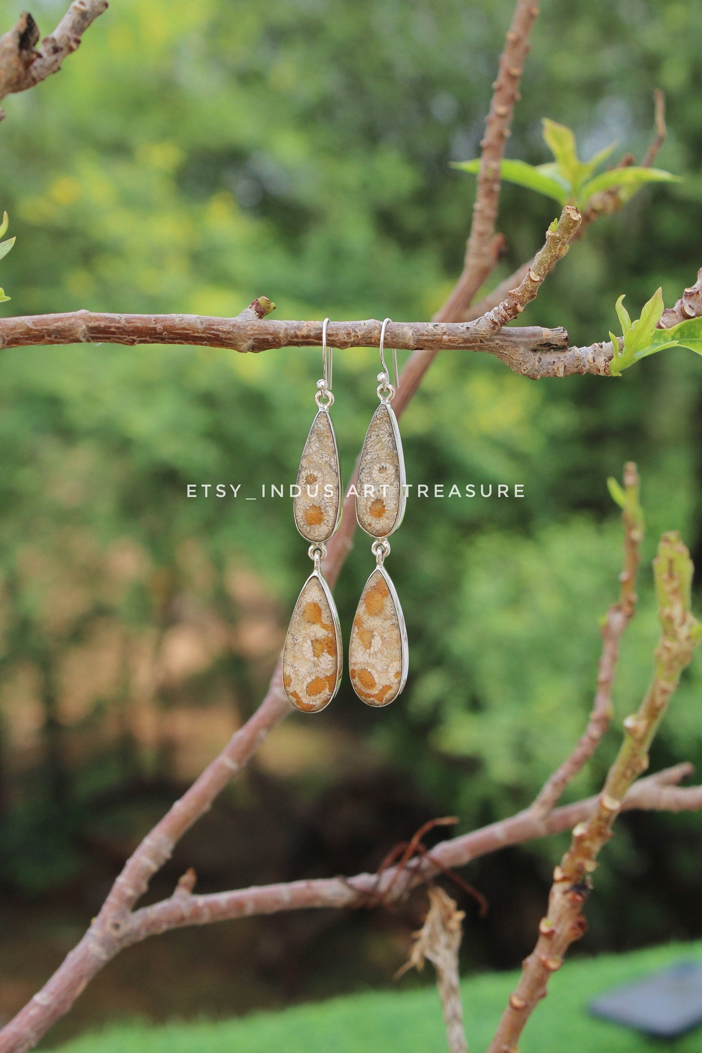 Natural Coral Fossil Agatized Coral Earrings