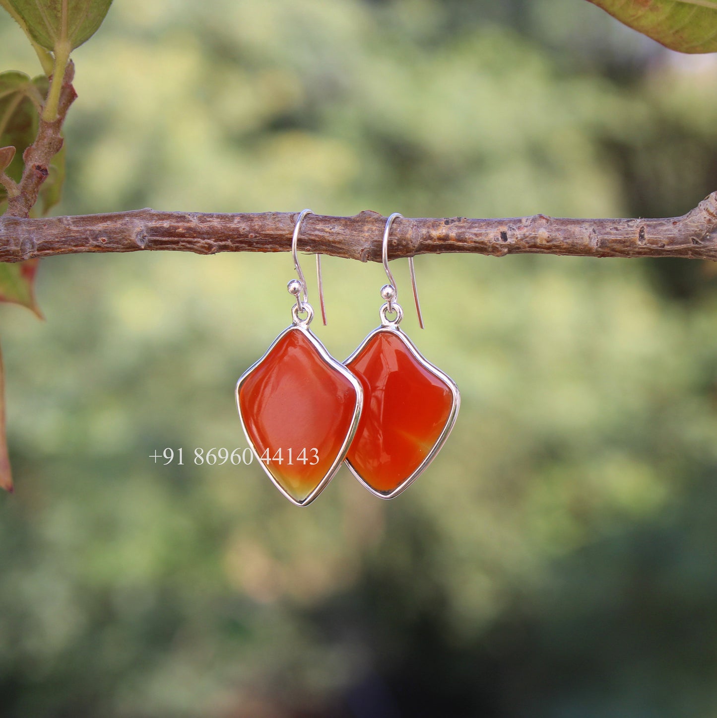 Carnelian Fancy Shape Earrings