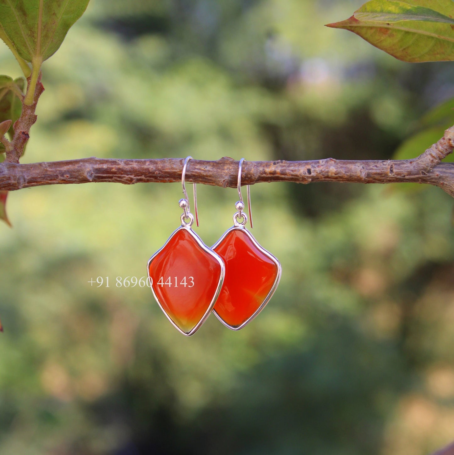 Carnelian Fancy Shape Earrings