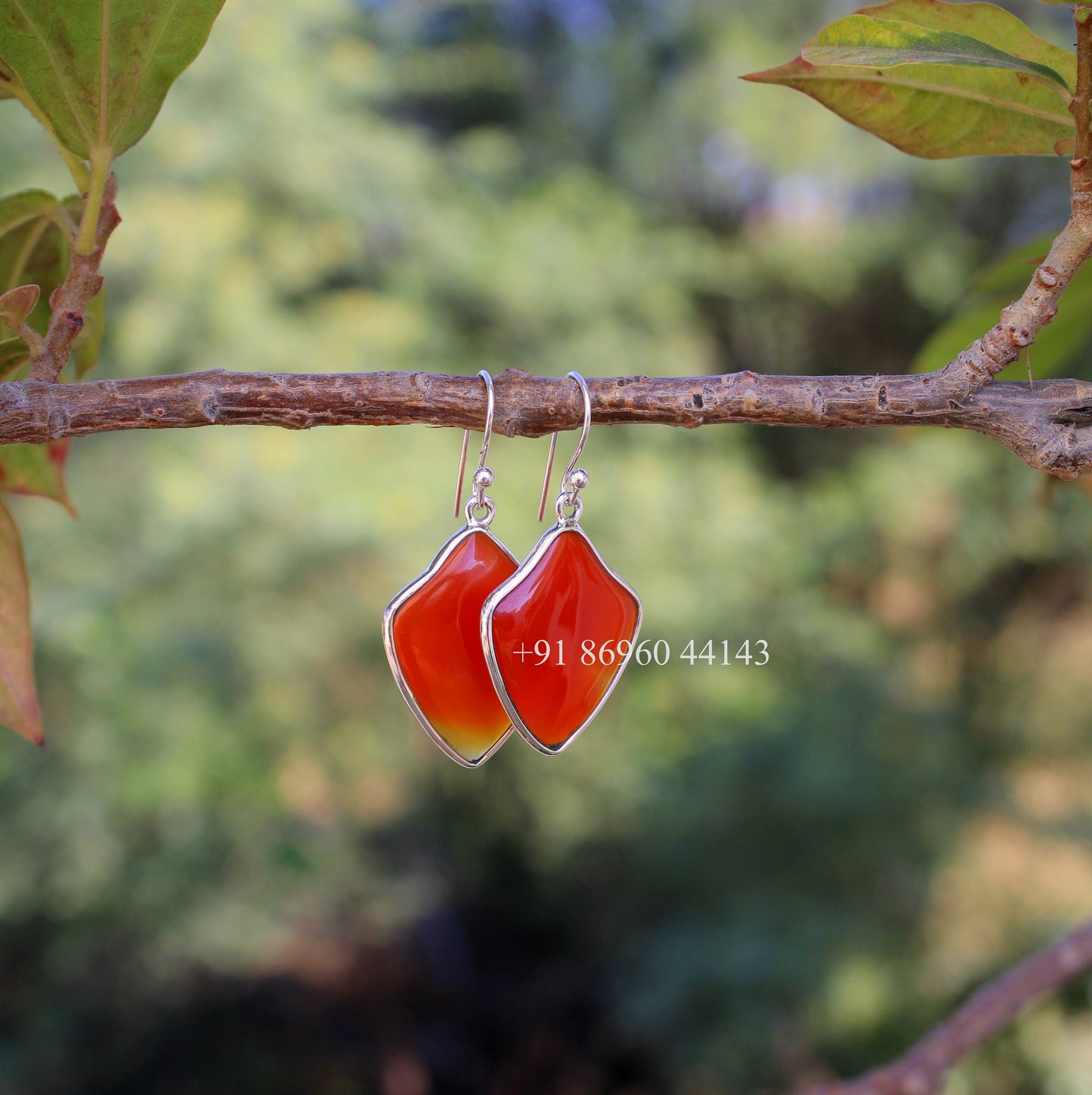 Carnelian Fancy Shape Earrings