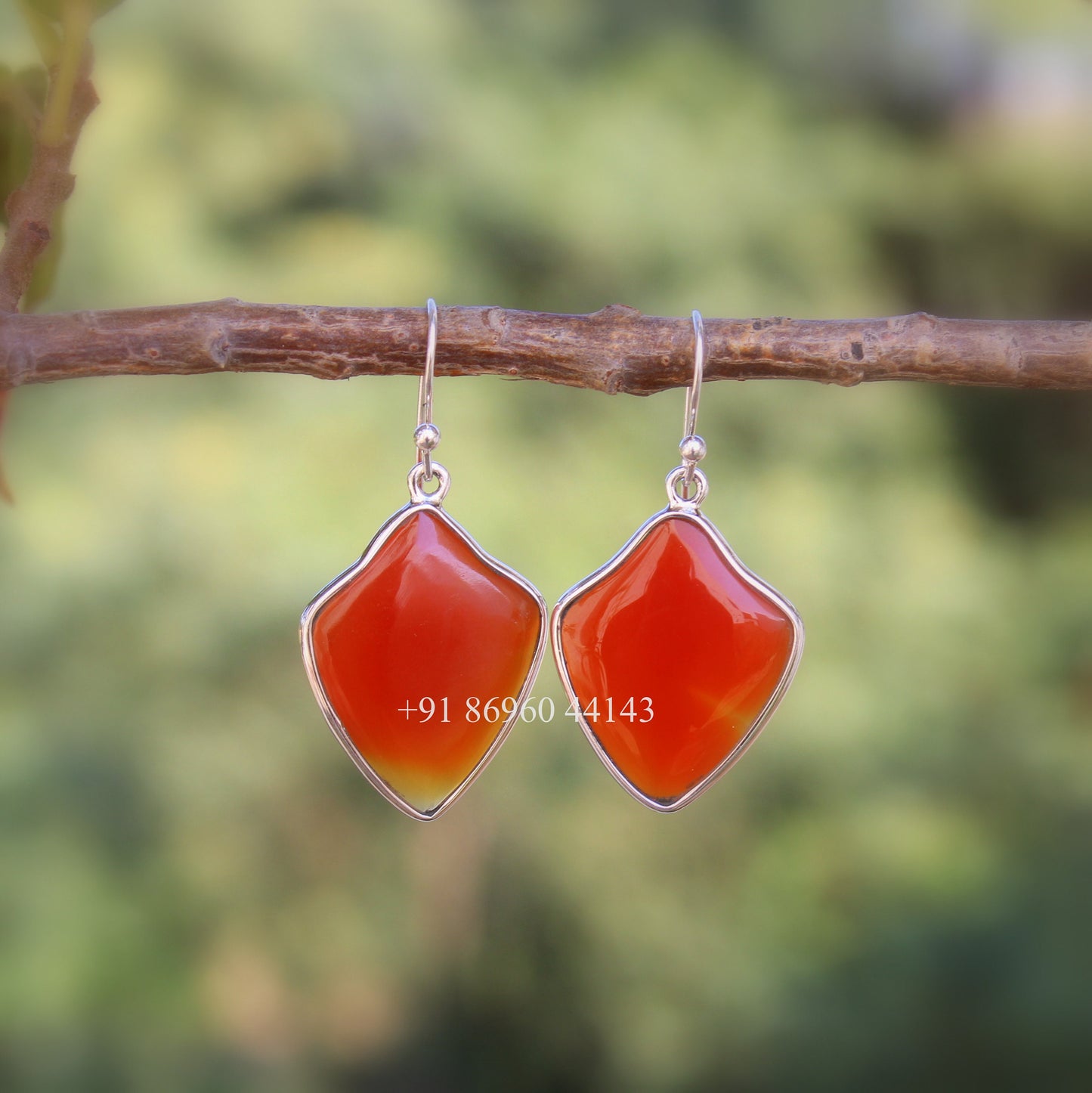 Carnelian Fancy Shape Earrings