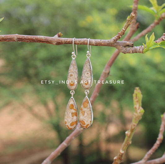 Natural Coral Fossil Agatized Coral Earrings